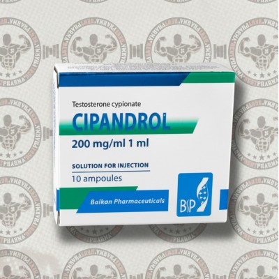 Testosterone cypionate 200 Balkan (10amp/200mg) Ампулы