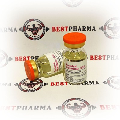 Testabol Enanthate 250 British Dragon (10ml 250mg)